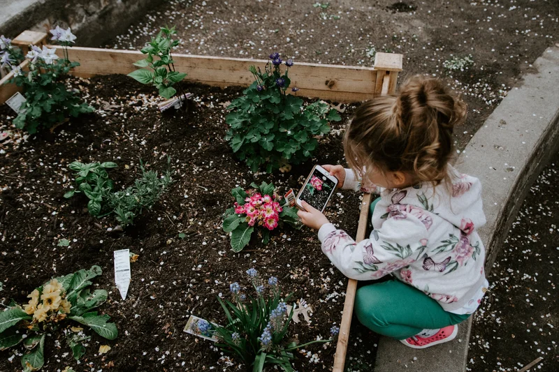 Een moestuin, niet alleen leuk voor kinderen!
