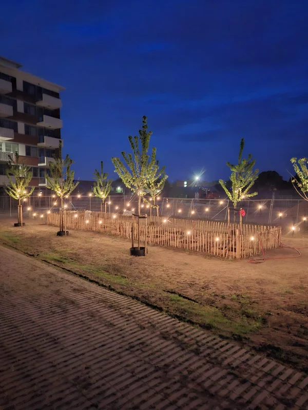 Wildplukwandeling laat bewoners anders kijken naar groen in Hero van Breda