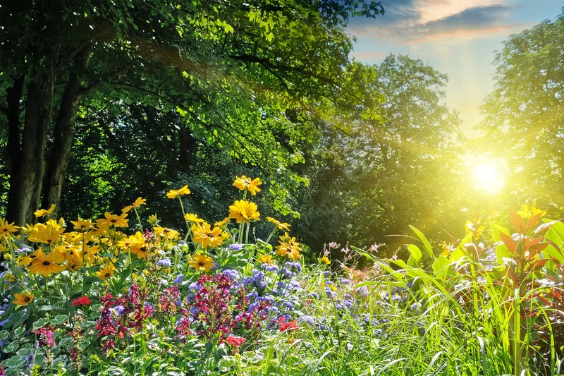 Hoe Hero van Breda slim inspeelt op het klimaat, op elk seizoen voorbereid