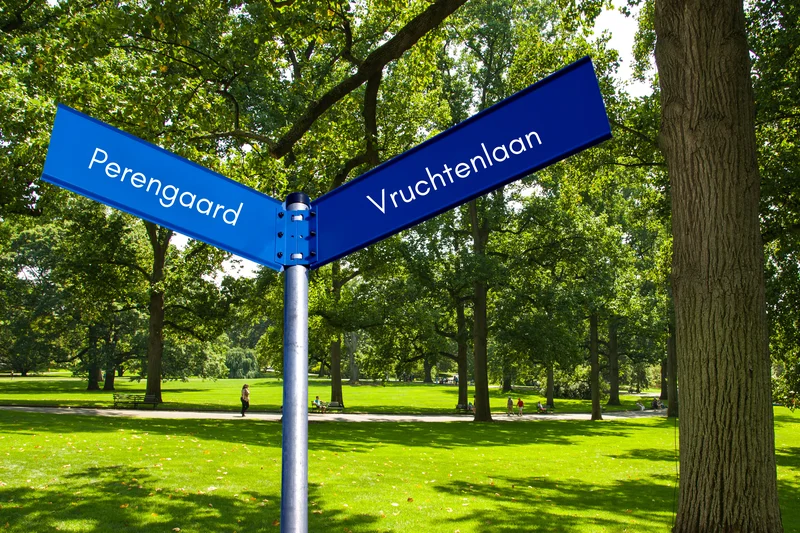De (eerste) straatnamen zijn bekend!